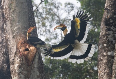 Bhigwan - Grasslands Photography Tour