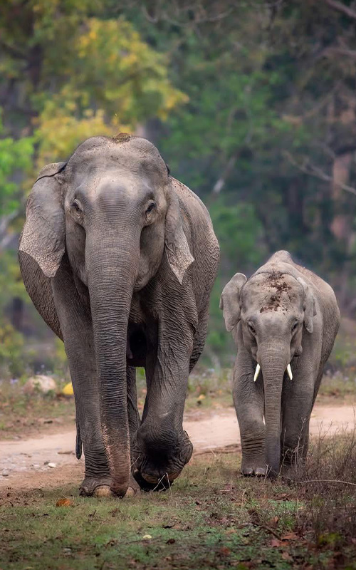 wildlife photography tour