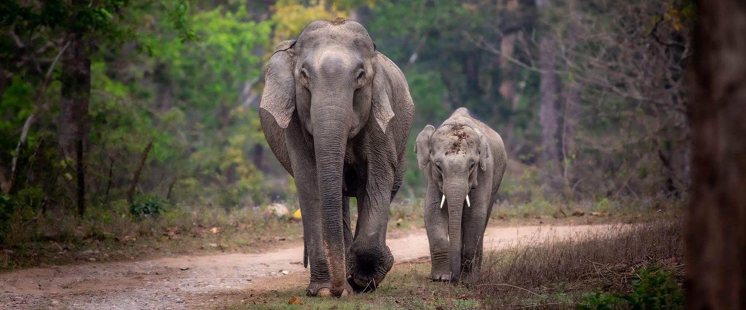 wildlife photography tour