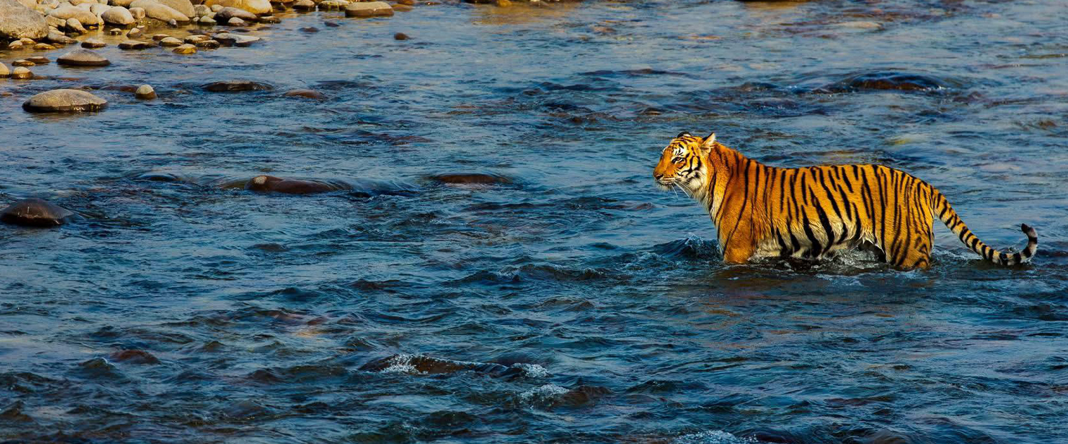 wildlife photography tour