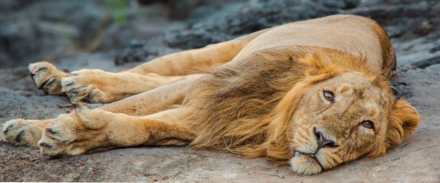 wildlife photography tour