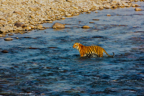 RAMGANGA CROSSING