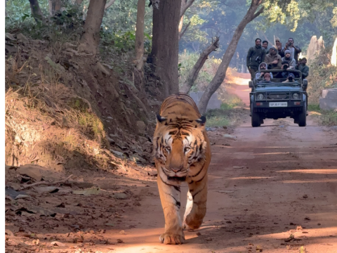 Dudhwa Photography Tour